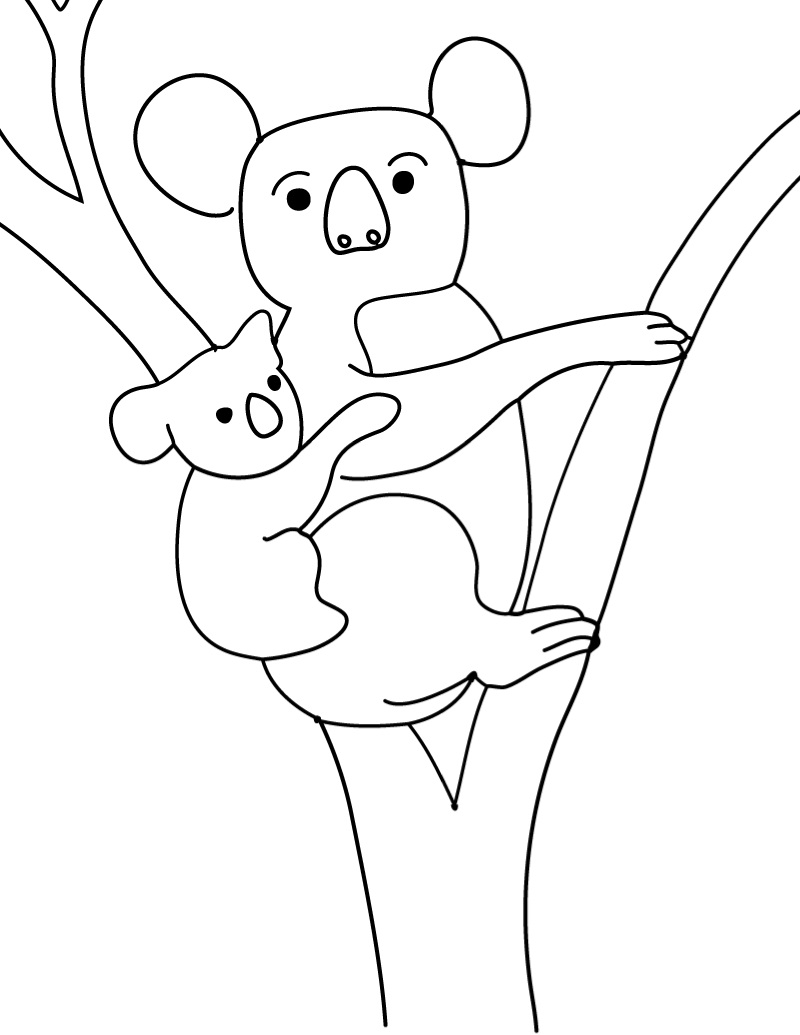 Koala Coloring Pages - Kidsuki