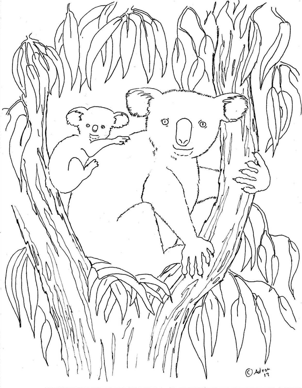 Free Printable Koala Coloring Pages For Kids - Animal Place