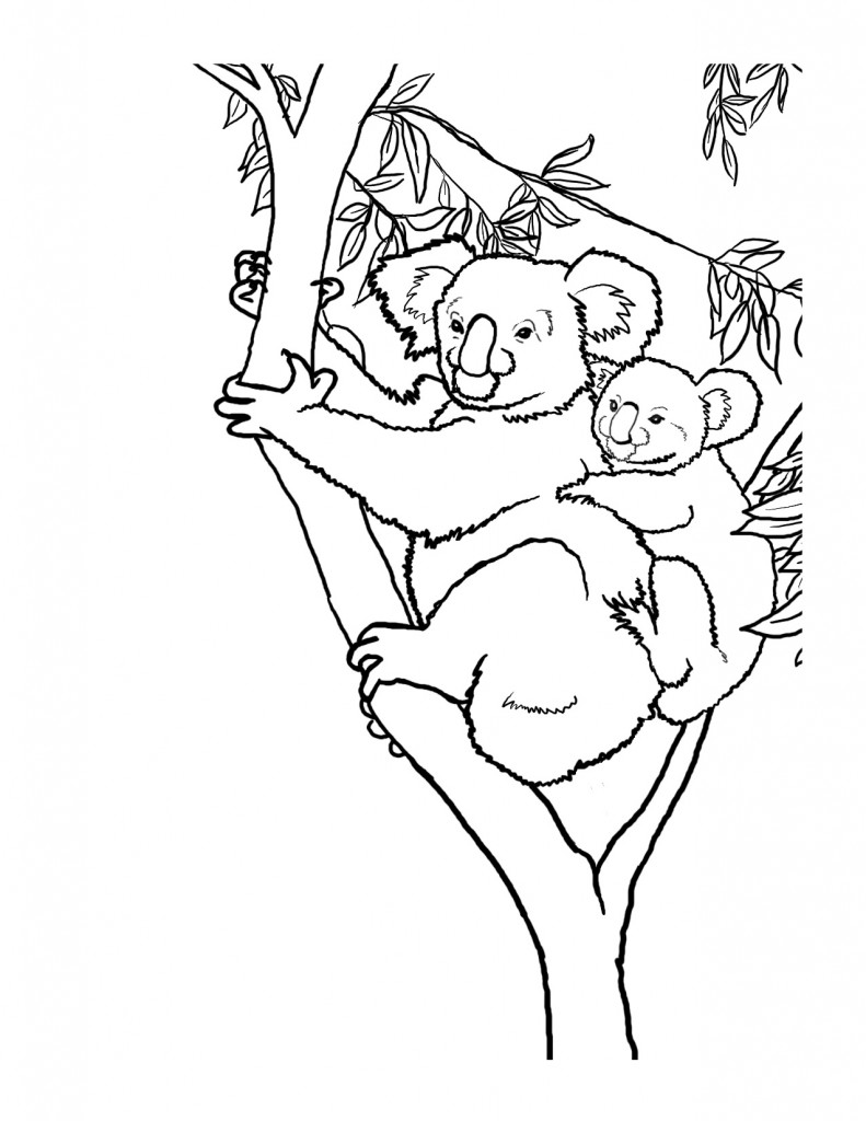 Koala Coloring Pages Pictures – Animal Place
