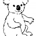 Download Free Printable Koala Coloring Pages For Kids | Animal Place