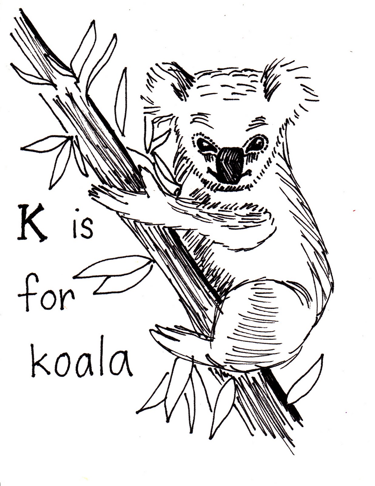 Free Printable Koala Coloring Pages For Kids - Animal Place