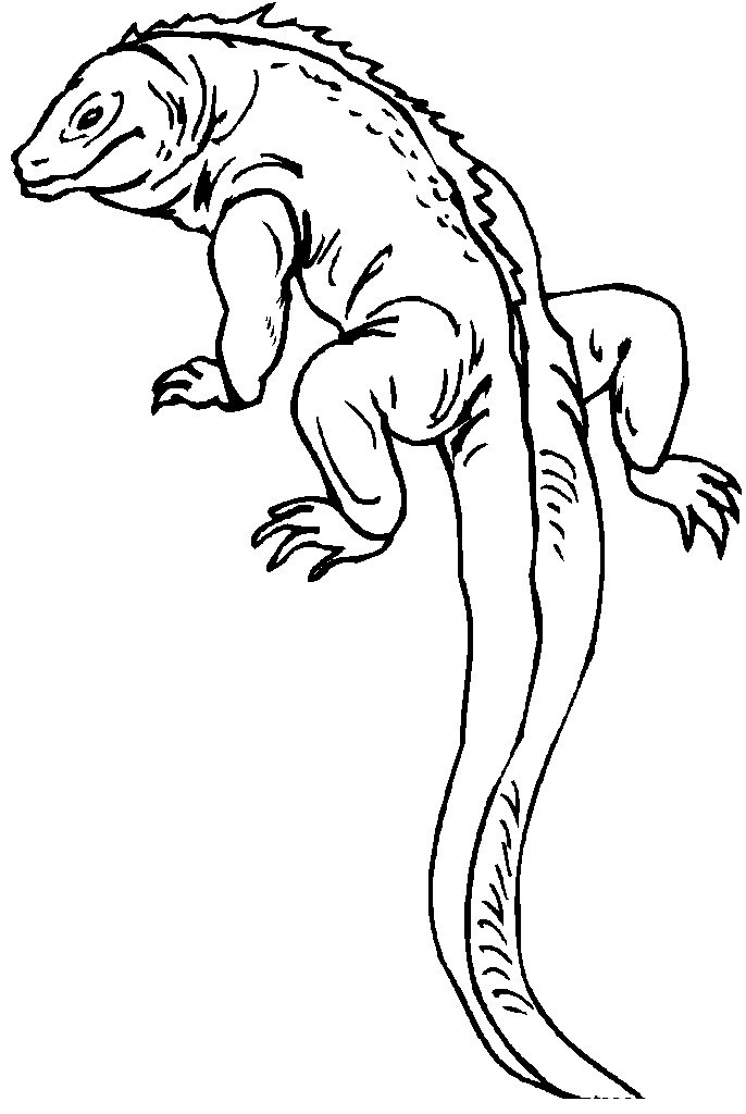 Gecko Coloring Page