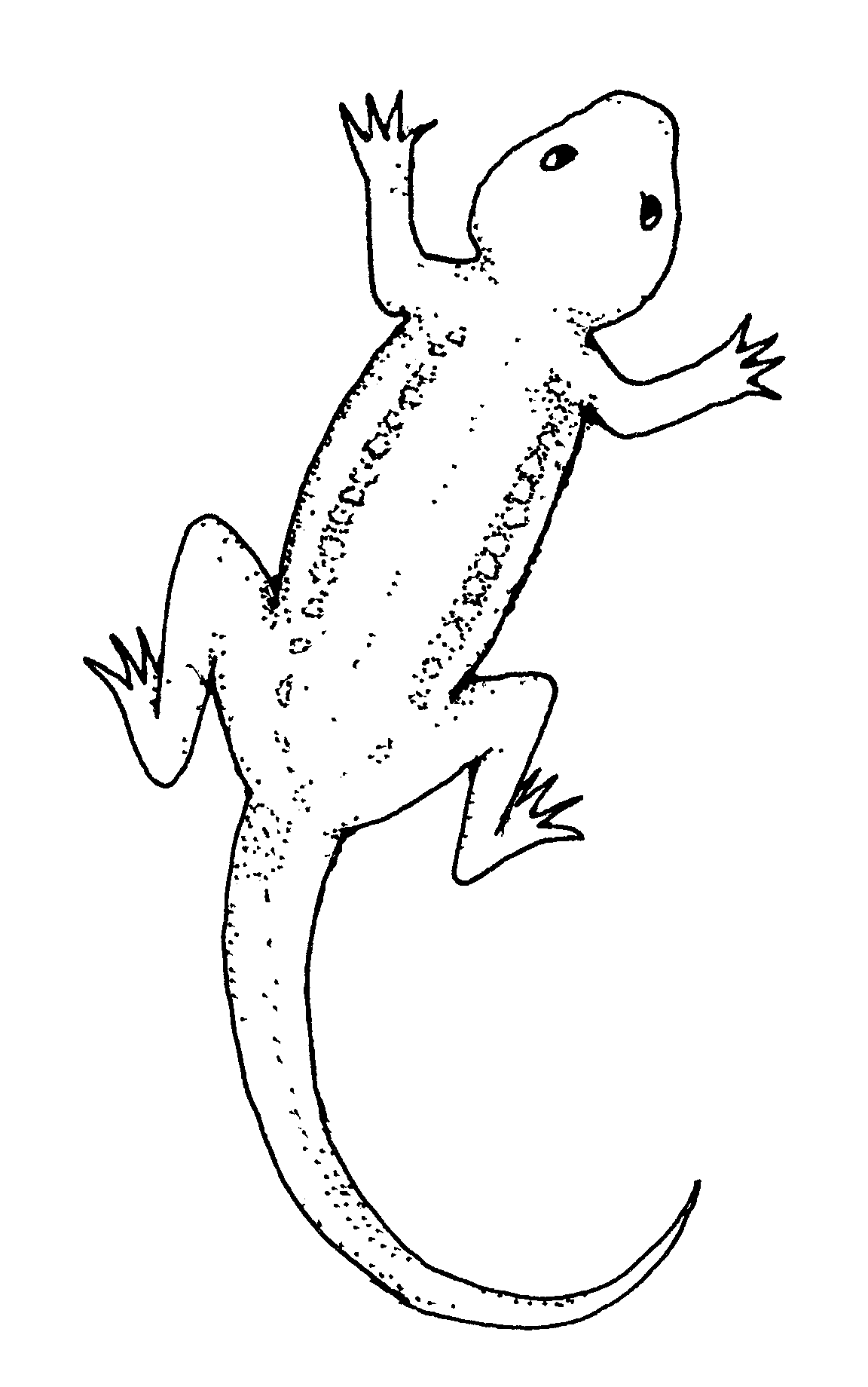 Free Printable Lizard Coloring Pages For Kids - Animal Place