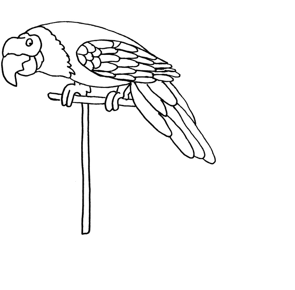 Попугай картинка раскраска