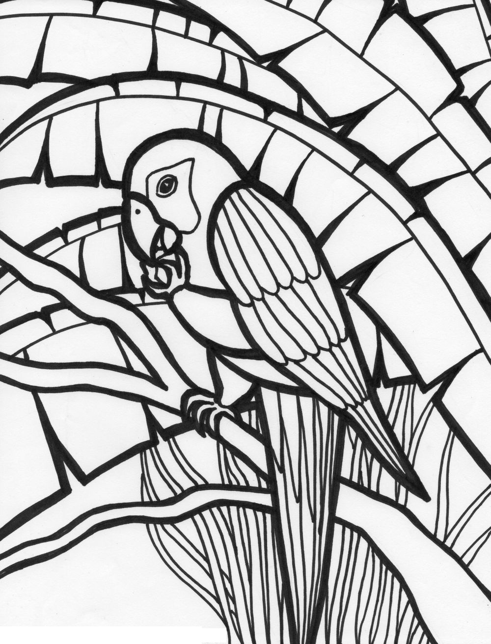 Free Printable Parrot Coloring Pages For Kids Animal Place