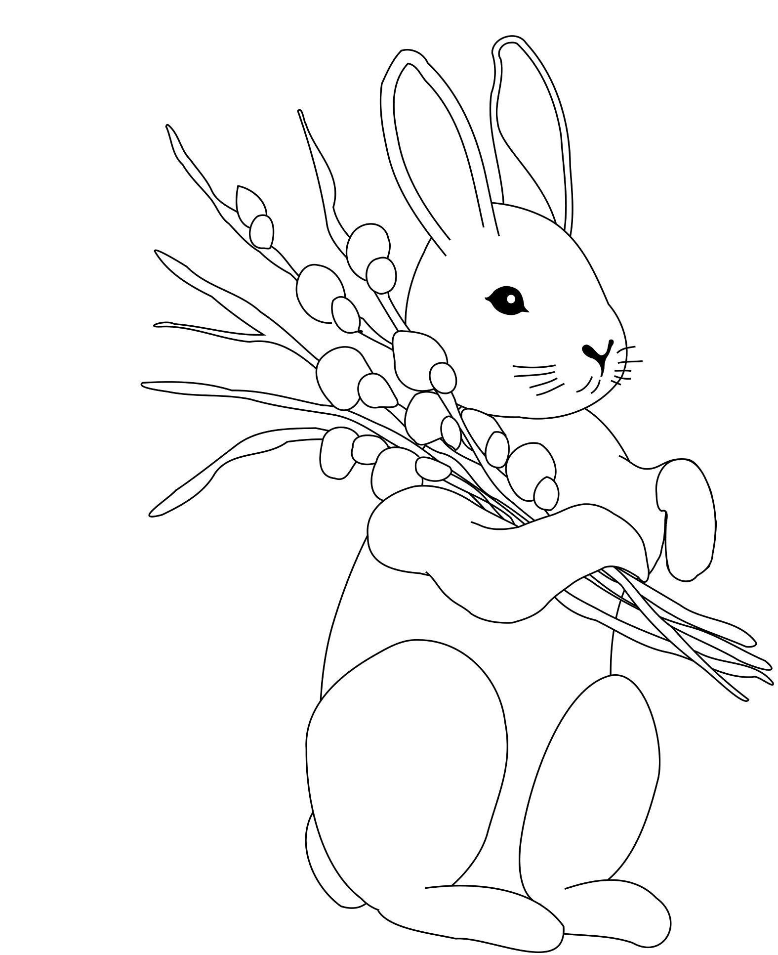 Printable Rabbit Coloring Pages – Animal Place