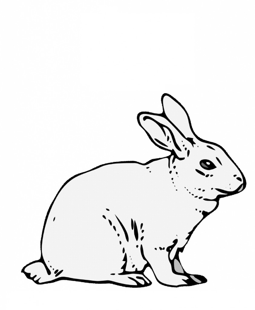 Rabbit Coloring Pages for Kids Image – Animal Place