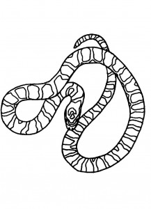 Snake Coloring Pages Photos Animal Place