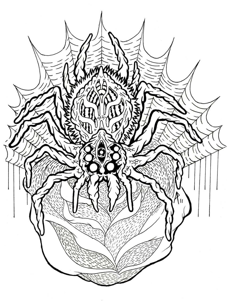 Spider Coloring Pages Photos – Animal Place