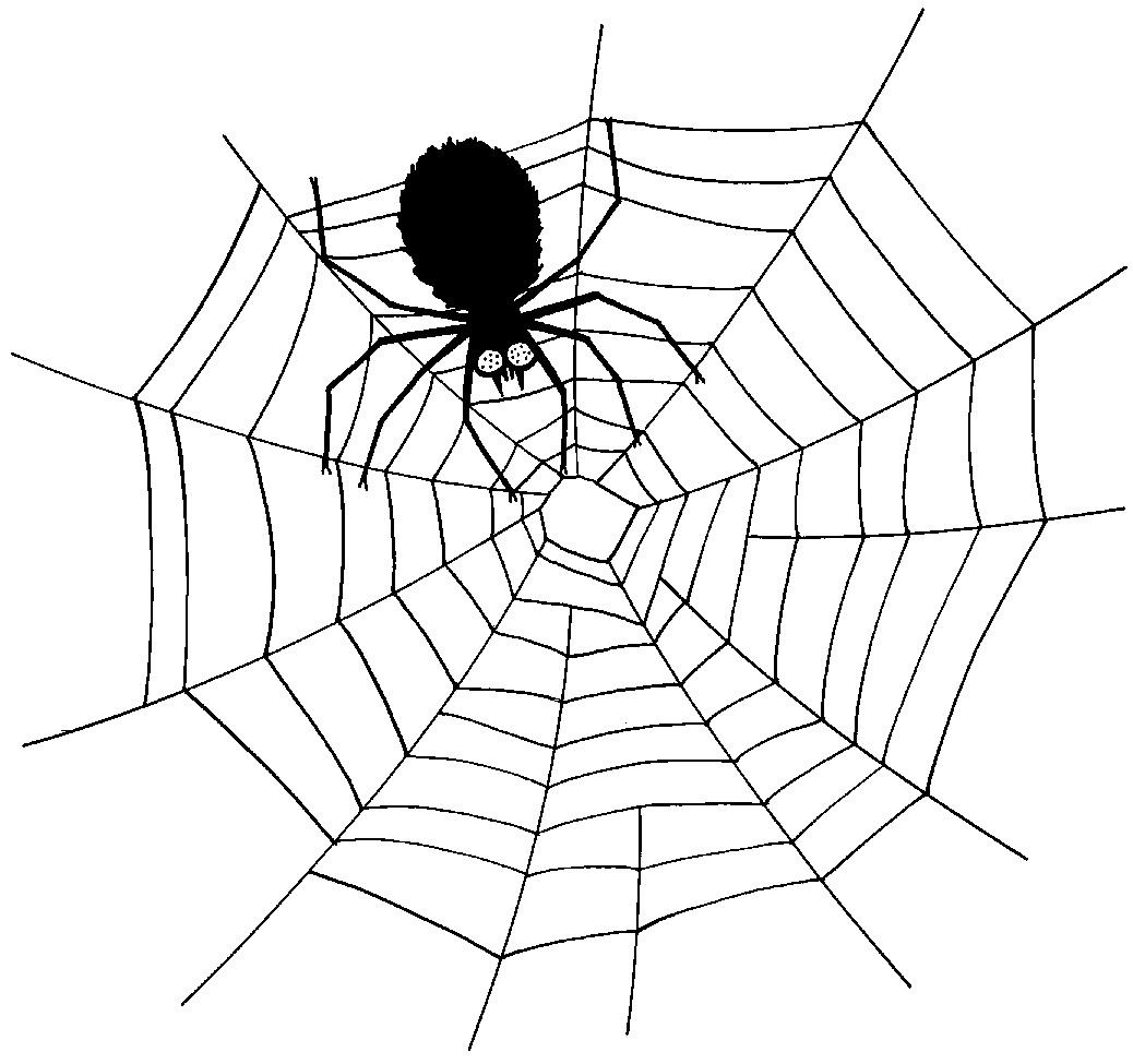 Free Printable Spider Coloring Pages For Kids