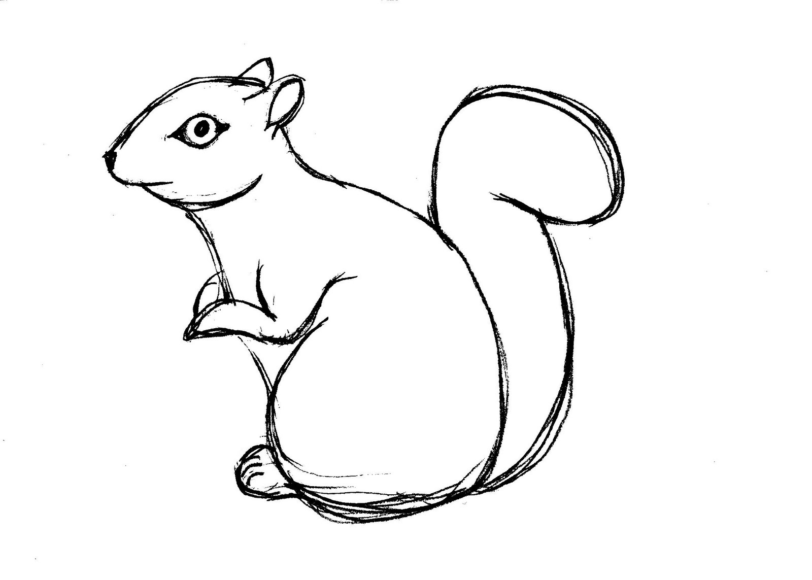 Free Printable Squirrel Coloring Pages For Kids - Animal Place