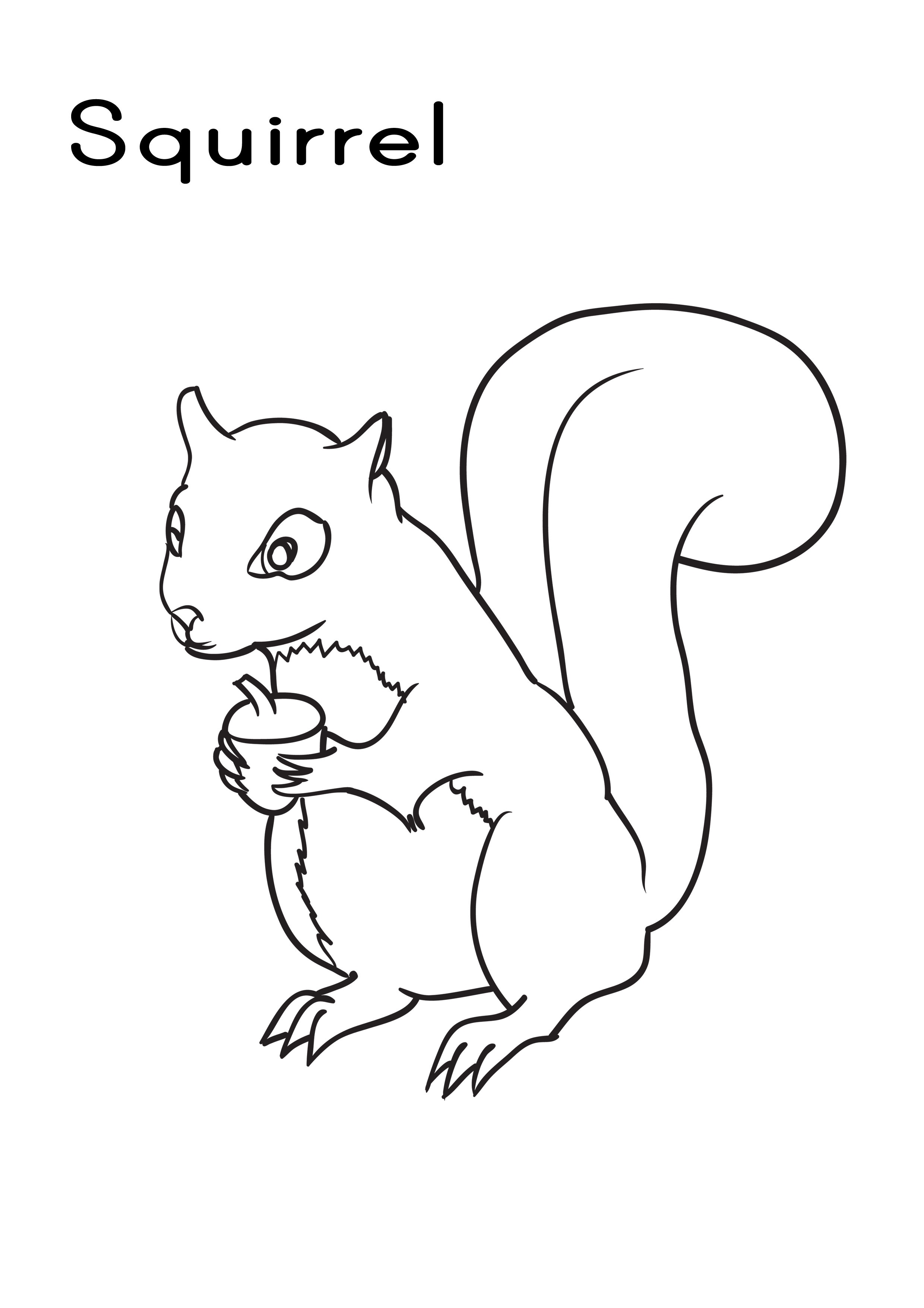 Free Printable Squirrel Coloring Pages For Kids - Animal Place