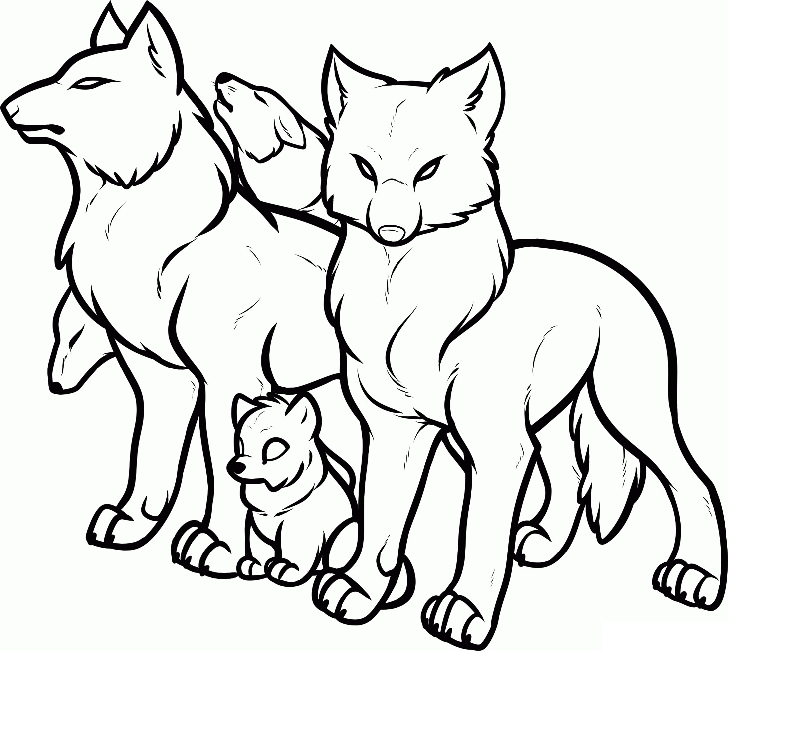 Coloring Pages Wolfs Wolf Printable Kids Sketch Coloring Page