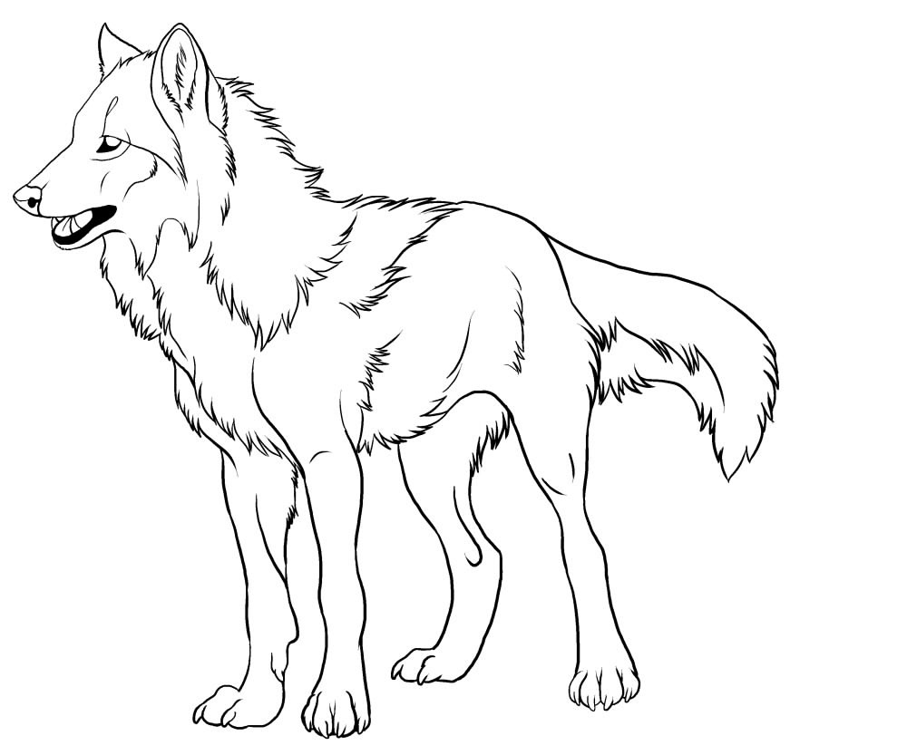 Coloring Wolf Pages Howling Printable Sketch Coloring Page