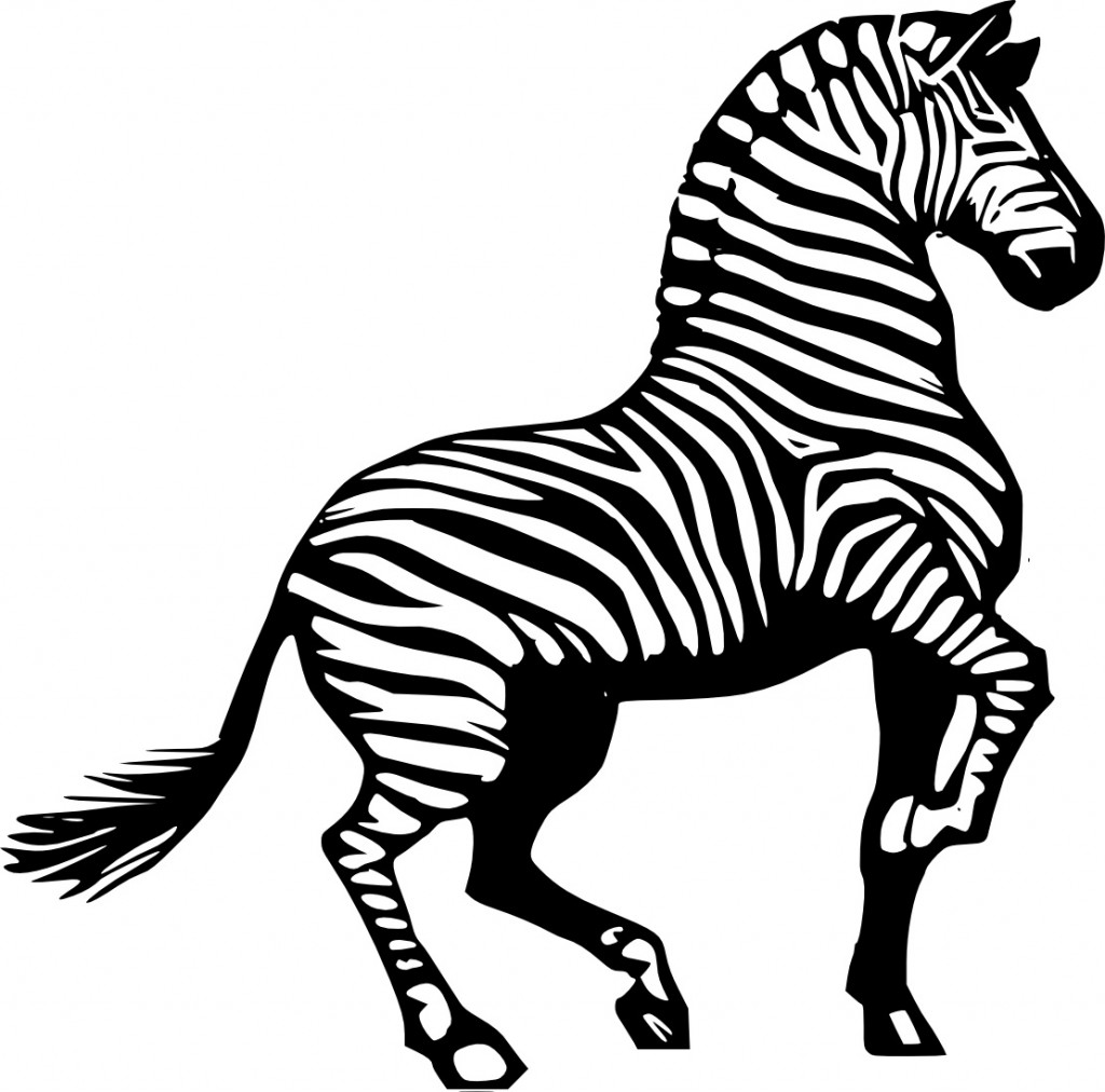 Zebra Coloring Pages for Kids Image - Animal Place
